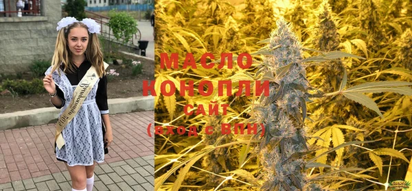 стафф Надым