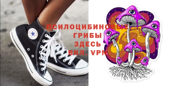 стафф Надым