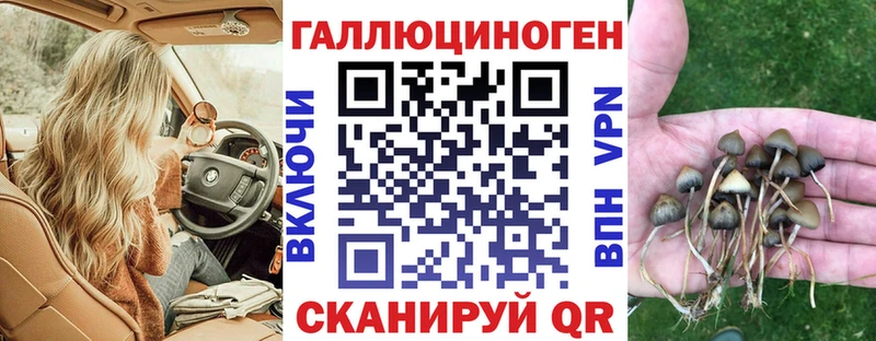 блэк спрут ссылки  Красный Кут  Галлюциногенные грибы Psilocybe 